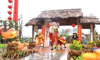 Aktivitäten zum Jahr der Katze in Hoi An