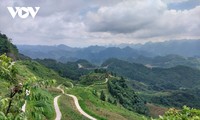 Das Kalkplateau in Ha Giang begrünen