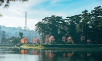 Erstes Festival für klassische Musik in der Musikstadt der UNESCO