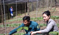 Ethnische Minderheit der La Hu in Lai Chau kommt dank Ginsenganbau aus der Armut heraus