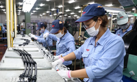 In den vergangenen sieben Monaten investieren ausländische Unternehmen 18 Milliarden US-Dollar in Vietnam