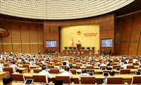 4. Arbeitswoche der 9. Parlamentssitzung: Parlament diskutiert zahlreiche wichtige Inhalte