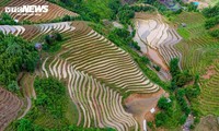 Beeindruckende Schönheit der Wassersaison auf den Reisterrassen in Lao Cai