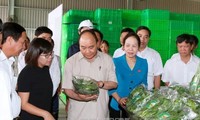 阮春福总理接触海防市选民