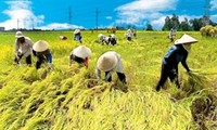 Die Bedeutung des Ackerlandes für Nahrungsmittelsicherheit