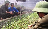 Vietnam will mehr Arbeitsplätze für Jugendliche auf dem Land schaffen