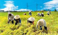 Die Rolle des Bauernverbands bei der Neugestaltung ländlicher Räume