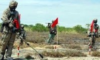 Projekt zur Umweltreinigung auf dem Flughafen Da Nang  gestartet 