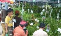 Eröffnung der Landwirtschaftsmesse in Soc Trang