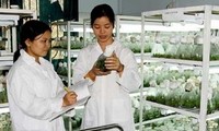 Vietnam und Laos wollen ihre Zusammenarbeit in Wissenschaften verstärken