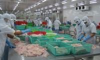 Vietnamesische Unternehmen protestieren gegen US-Strafzölle auf Pangasius