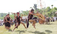 Kulturtag vietnamesischer Volksgruppen gefeiert