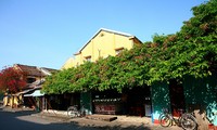 Altstadt von Hoi An und Begrünung