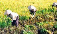 Fast 1200 Delegierte nehmen an Landeskonferenz des Bauernverbands teil