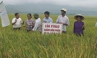 Nghe An AG für landwirtschaftliche Materialien unterstützt Neugestaltung ländlicher Räume