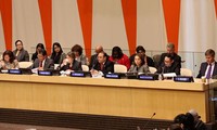 Vietnam beteiligt sich an der jährlichen Sitzung von ECOSOC