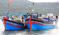 Fischereiverband protestiert gegen den Aufprall chinesischen Schiffs auf ein Fischerboot Vietnams