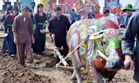 Frühlingsfeste in Nordvietnam