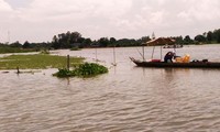 Bauern im Mekong-Delta bei der Anpassung an fehlende Überschwemmungen