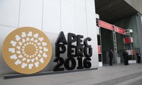 Vietnam beteiligt sich an APEC in Peru und bereitet sich für APEC 2017 vor