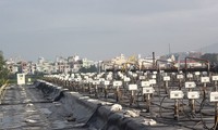 Gewährleistung des Tempos der Beseitigung von Dioxin am Flughafen Da Nang