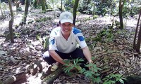 Förderung die Marke von Ginseng Ngoc Linh aus Vietnam