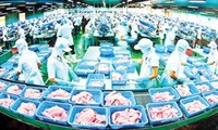 Vietnams Pangasius in die USA werden verstärkt kontrolliert