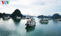 Aufklärung zum Schutz des Erbes der Halong-Bucht in die Schulen bringen