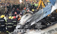 Mindestens 50 Tote beim Flugzeugunglück in Nepal