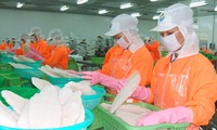 Ziel von 2,4 Milliarden US-Dollar für Export von Pangasius