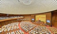 Parlament verabschiedet Beschlüsse über Budgetrechnung 2017 und Gesetzgebungsprogramm 2020