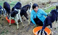 Jugendliche Vorbilder beim Aufbau landwirtschaftlicher Modelle zur Anpassung an den Klimawandel