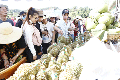 Obstfest Khanh Son in Khanh Hoa eröffnet