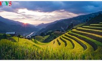 Schöne Reisterrassen in Mu Cang Chai zur Erntezeit