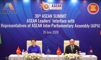 25 Jahre der ASEAN-Mitgliedschaft Vietnams: Vietnam ist ein Spiegel der Werte der ASEAN