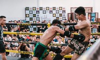 Gemischte Kampfkünste MMA werden zum ersten Mal in Vietnam offiziell organisiert