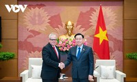 Vietnam-Kuba-Beziehungen verstärken