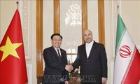 Pressekonferenz von Parlamentspräsident Vuong Dinh Hue und seinem iranischen Amtskollegen Mohammad Ghalibaf