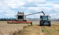 Die EU lockert Umweltregeln für die Landwirtschaft