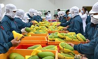 Vietnam ist eines der 15 weltweit größten Exporteure von Landwirtschaftsprodukten