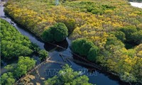 Biosphärenreservate zu Mustern für nachhaltige Entwicklung aufbauen