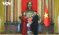 Staatspräsident Luong Cuong verleiht Botschaftertitel