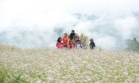 Ha Giang stärkt Marke des Buchweizenblüten-Festivals