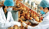 Berupaya mencegah dan memberantas wabah flu tipe A H5N1 dan H1N1