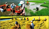 Konferensi evaluasi sementara tentang Resolusi Sidang Pleno ke-7 KS PKV, angkatan ke-10 tentang Pertanian, Petani dan Pedesaan