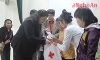 Wakil Ketua MN Vietnam, Tong Thi Phong melakukan kunjungan kerja di provinsi Nghe An