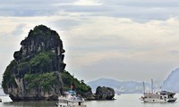 Pameran foto kuno pada Festival Carnaval Ha Long 2014