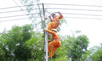 Mendorong cepat laju Proyek pemasokan listrik nasional untuk kebupaten pulau Ly Son