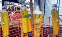 UNICEF memperingatkan wabah Ebola mengancam masa depan kaum pemuda di negara-negara Afrika Barat