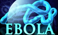 PBB menilai bahwa bisa memadamkan wabah Ebola